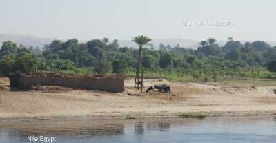 Nile Egypt